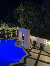 TX Pool & Construction photo 3