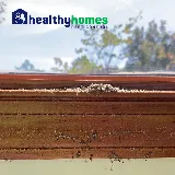 Healthy Homes Pest Control photo 8