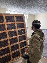 Quality Pest Control Gta Whitby photo 4