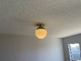 Terrapin Electric photo 6