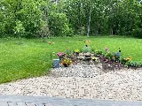 Town & Country Pest Solutions inc photo 8
