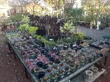 Bearscapes Nursery & Landscape photo 2