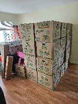 Pack & Go Movers photo 8