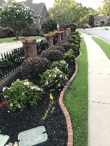 Modern Exterminating Company, Inc. photo 3