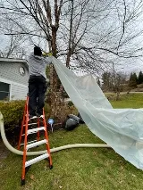 DLS Pest Solutions photo 3
