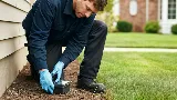 AR Pest Control Mississauga photo 4