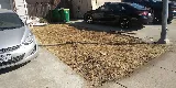 Silver Bear Landscaping photo 4