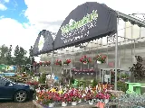 Trevisanutto's Greenhouses & Landscape Design