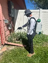 King Pest Solutions photo 3