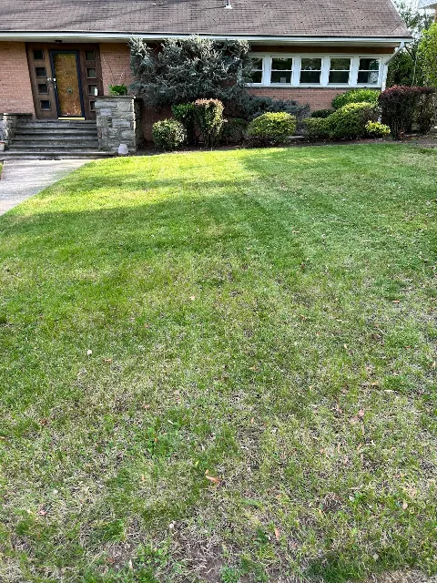 United landscaping cleaning management services photo 1