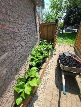 Rozy Landscaping photo 5