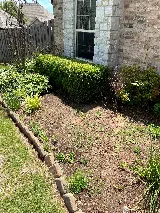 3DL Landscape & Lawn photo 6