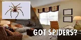 City Best Pest Control photo 8