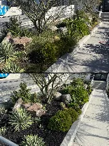 Socal Landscape & Gardening photo 8