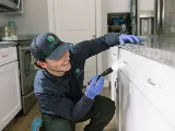 Green Shield Pest Solutions photo 6
