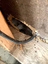 Q.A.P Pest control Richmond hill photo 5