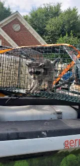 Germantown Pest Control photo 3