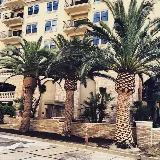 Four Seasons Landscape and Property Services photo 2