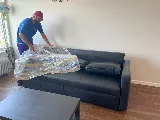 Vector Movers NJ photo 4