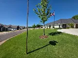 Galt Landscape, LLC. photo 2