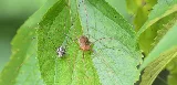 Pro Pest and Lawn Store photo 8