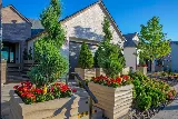 Reno Green Landscaping photo 2