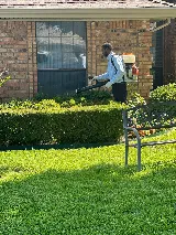 Pest G.O.A.T.S Pest Control By Willis Exterminating