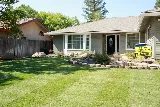 Picture Perfect Lawn photo 5