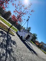 Gonzalez Painting and handyman service LLC