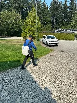 Insight Pest Solutions photo 8