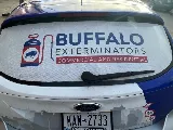 Buffalo Exterminators Inc photo 3