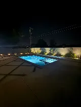 Designer Custom Pools photo 4