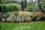 Greenwise Organic Lawn Care of Milwaukee photo 5