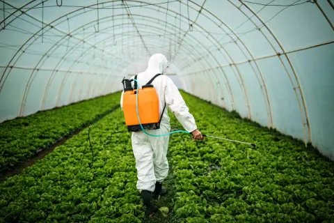 SuperiorShield Pest Control Chesapeake photo 1