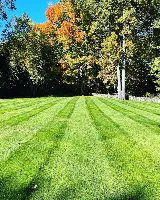 Lasko Landscaping LLC photo 2