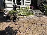 Lahib Landscaping photo 4