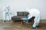 Pest City USA photo 2