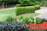 U.S. Lawns - Sacramento photo 3