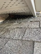 Standard Pest Control photo 7