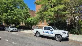 All American Pest Control
