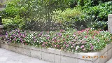 Manhattan Landscape Company photo 4