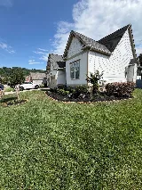 Top Cut Landscaping photo 5