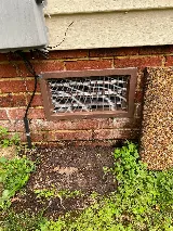 Precision Pest Management photo 5