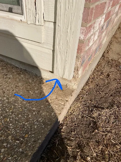 Safe Pro Pest Control photo 1