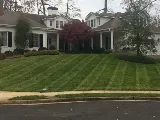 Andy's Lawn & Landscape photo 6