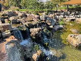 Knob Hill Landscape Co. photo 8