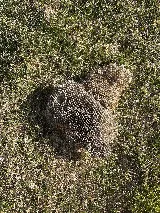 Pro-Staff Termite & Pest Control of The Midwest, LLC photo 5