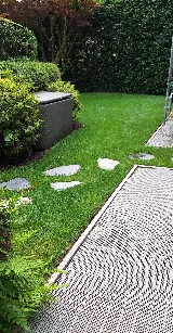 Beyond Landscaping photo 5