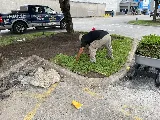 Texas Castro Landscaping LLC photo 5