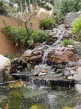 Madroño Landscape Design Studio photo 8